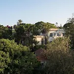 Russelia Right In The Heart Of Rhodes